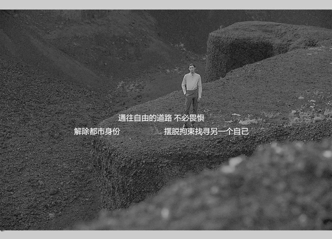 动物帮帮忙保卫家园