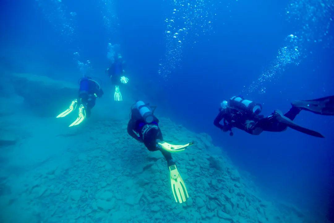 海绵宝宝寻珍宝