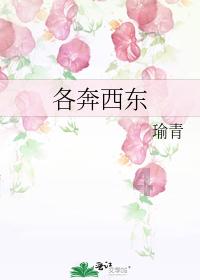 去小城寻年味！保山、普洱等地春节酒店预订量增长4.5倍