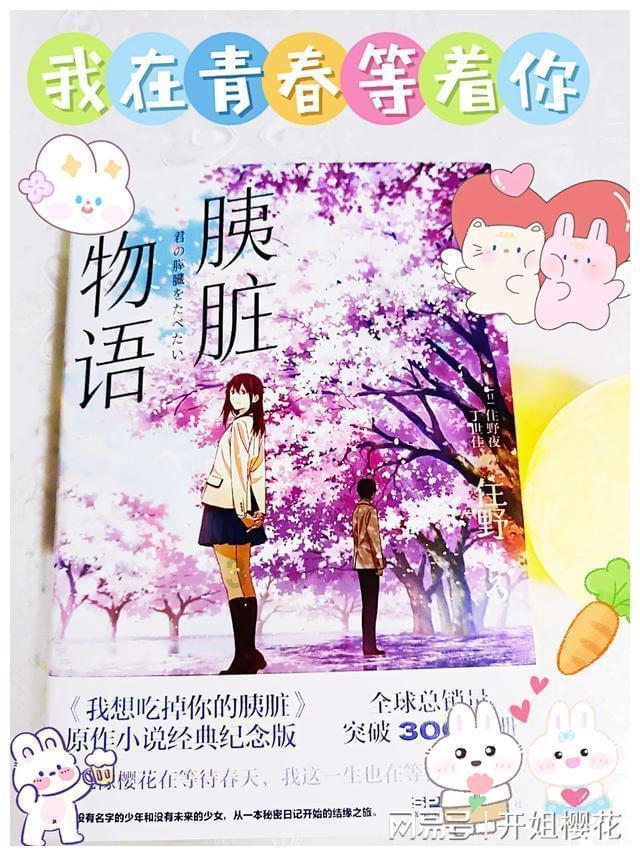 可爱猫咪救援