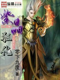 棋子的战争